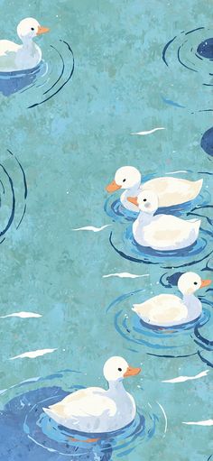 three white ducks floating on top of a body of water