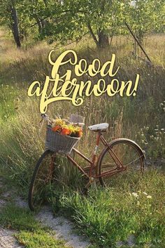 an old bicycle with a basket full of flowers sitting in the grass next to a sign that says good afternoon