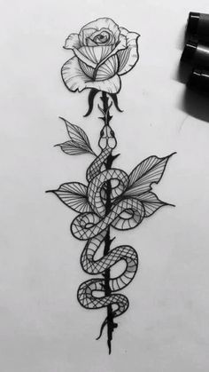 a drawing of a snake and rose on paper