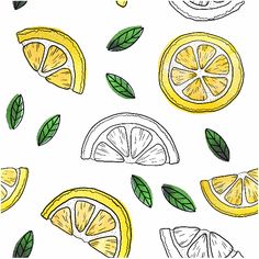 lemons and lime slices with leaves on a white background royalty freehanded illustration