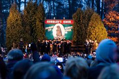 a group of people standing on top of a stage in front of a forest filled with trees