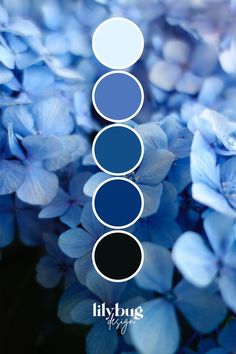 blue flowers with the words lilbug on them in white and black, surrounded by three