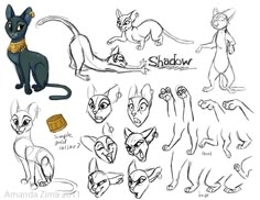 an animation character sheet for the animated cat show