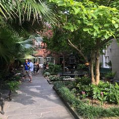 two people walking down a path in a garden