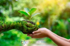 two hands are holding a green plant that is growing out of the ground in front of trees