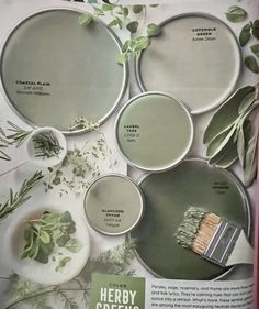 a magazine with green paint colors and greenery on the cover, including white dishes