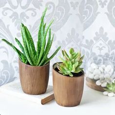 three succulents are sitting in wooden pots on a white table next to a wallpaper