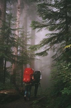 two people walking in the woods with backpacks on their backs and words above them that read, we will tell our dreams and we'll be there