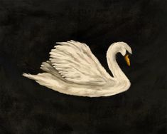 a painting of a white swan floating in the dark water with it's wings spread out