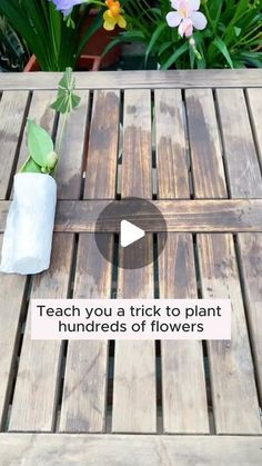 a wooden table with flowers on it and a sign that says teach you a trick to plant hundreds of flowers