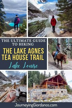 the ultimate guide to hiking the lake agnes tea house trail