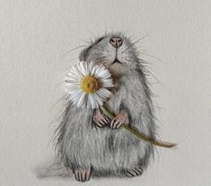 a drawing of a gerbil holding a daisy in its paws and looking up