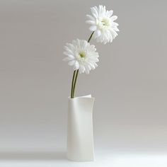 two white daisies in a white vase on a gray background, with room for text