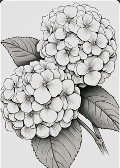 a black and white drawing of flowers with leaves