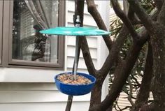 a blue bird feeder hanging from a tree