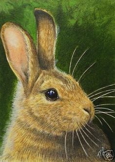 a painting of a brown rabbit in front of green grass, with blue eyes and long whiskers