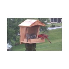 a bird feeder with three birds in it