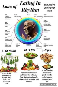 Sadkhin Diet, Eating In Rhythm, Dr Sebi Nutritional Guide, Alkaline Foods List, Nutritional Guide, Dr Sebi Alkaline