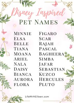 the disney inspired pet names in pink and green