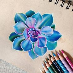 a drawing of a blue flower with colored pencils on the table next to it