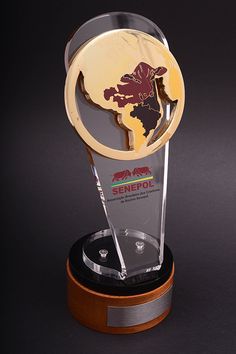 an award trophy with a wooden base and gold colored globe on it's side