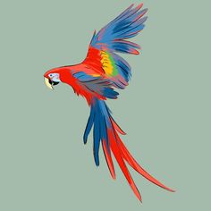 a colorful parrot flying through the air with its wings spread out and it's beak open