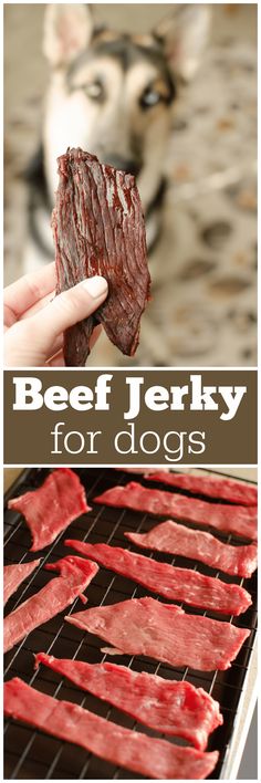 beef is being grilled on the grill with text overlay that reads beef jenny for dogs