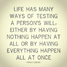 a quote that says life has many ways of testing a person's will either by having nothing happen at all or by having everything