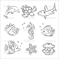 an image of some sea animals and fish on the facebook page, which is being viewed by