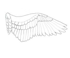 a drawing of a large white bird with wings spread