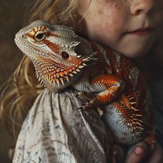 Bearded-Dragon Pictures: Educational Tools for Wildlife Awareness Portraits Photography, Dragon Pictures, Bearded Dragon, Changing Seasons, Natural World, Natural Beauty, Paintings, Education, Canvas