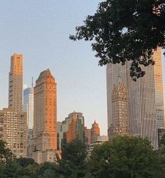 there are many tall buildings in the city with trees on each side and one building has a clock at the top