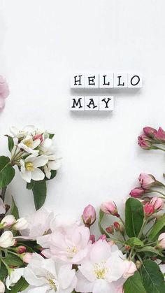 flowers and scrabble tiles spelling the word hello may on a white background with pink roses