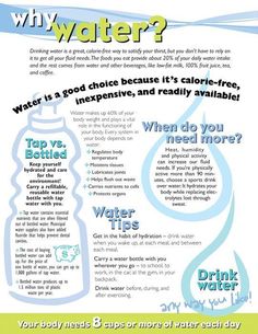 8 ½” x 11”, 50 sheets per tablet, 2-sided Discover the value of pure, fresh drinking water as part of a healthy diet. The tablet front shows 10 simple ways to add pizzazz to a plain old glass of H2O. The backside lists: • Reasons why drinking water is important for a healthy diet • When you need to drink more • How to drink more water • Water’s role in the body • Reasons to drink tap water instead of bottled water Ways To Drink Water, Water Hydration, Daily Water Intake, Water In The Morning, Healing Waters, Healthy Advice, Bottled Water, Water Intake