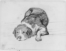 a drawing of a dog laying down on the ground