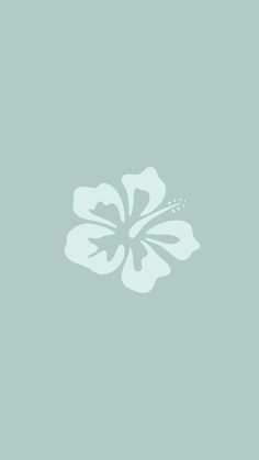 a white flower on a light blue background