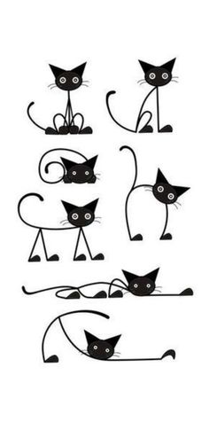 some black cats with different expressions on their faces and body, all looking at the same direction