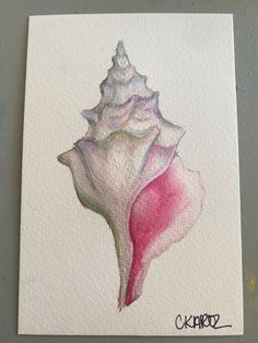 a watercolor painting of a pink and white sea shell on a white paper background