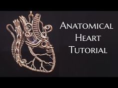 an image of a heart with the words anatomical heart tutorial on it