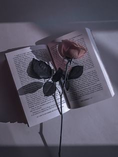 a single rose sitting on top of an open book with the pages torn off and placed in front of it