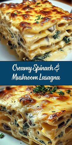 creamy spinach and mushroom lasagna is an easy dinner recipe