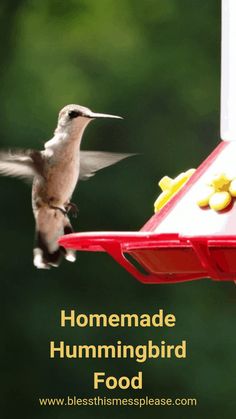 a hummingbird flying towards a bird feeder with the words homemade hummingbird food below it