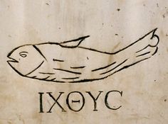 a drawing of a fish on a piece of paper with the word exoyc written below it