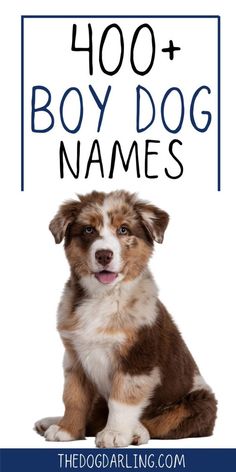 a brown and white dog sitting in front of a sign