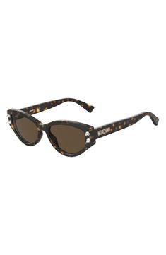 Moschino 55mm Cat Eye Sunglasses | Nordstromrack Moschino Sunglasses, Vuarnet Sunglasses, Herschel Backpack, Michele Watches, Concert Looks, Havana Brown, Straw Bags, Flip Flop Slippers, Designer Crossbody Bags