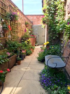 an alley way with lots of plants and flowers