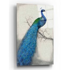 a blue and green peacock sitting on top of a tree