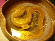 two yellow dragon figurines sitting in a bowl