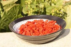 a bowl filled with red food sitting on top of a cement table next to plants