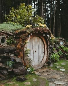 there is a wooden door in the middle of some rocks and grass with plants growing out of it